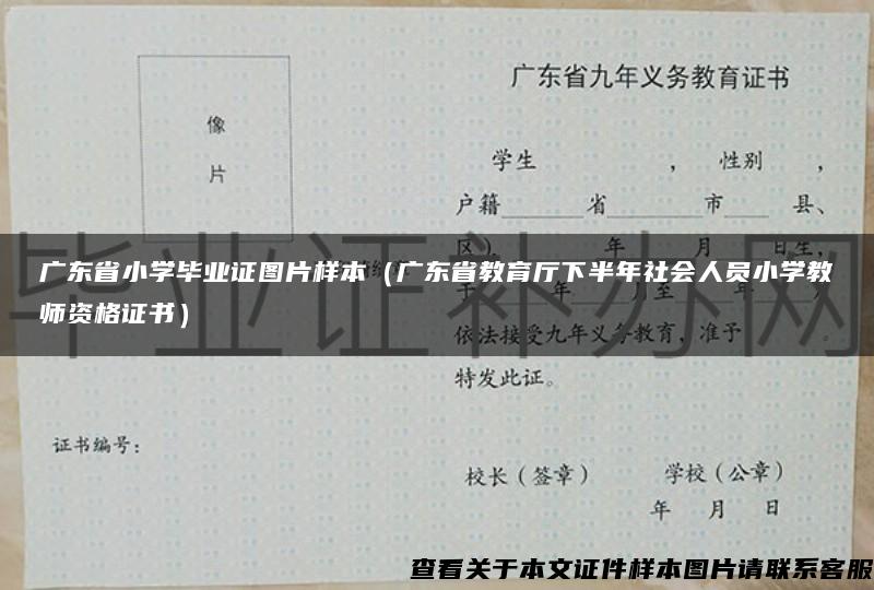 广东省小学毕业证图片样本（广东省教育厅下半年社会人员小学教师资格证书）