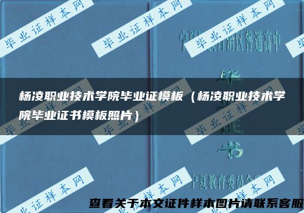 杨凌职业技术学院毕业证模板（杨凌职业技术学院毕业证书模板照片）