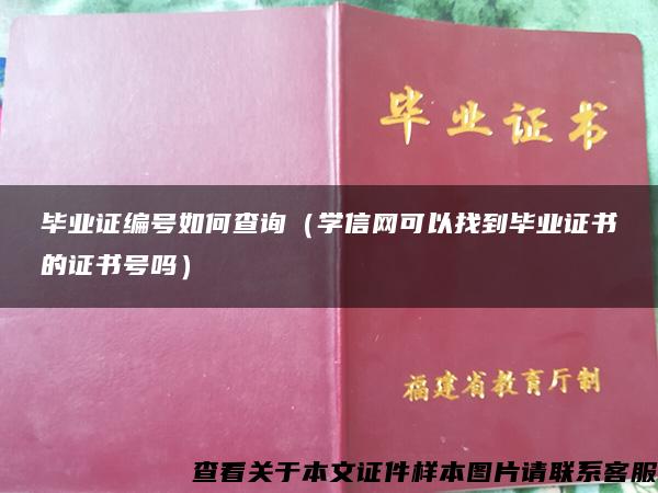 毕业证编号如何查询（学信网可以找到毕业证书的证书号吗）