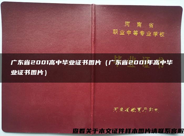 广东省2001高中毕业证书图片（广东省2001年高中毕业证书图片）