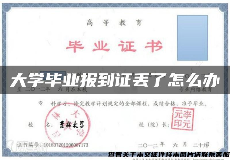 大学毕业报到证丢了怎么办