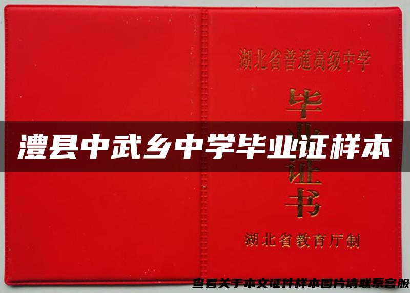 澧县中武乡中学毕业证样本