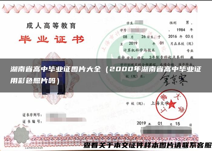 湖南省高中毕业证图片大全（2000年湖南省高中毕业证用彩色照片吗）