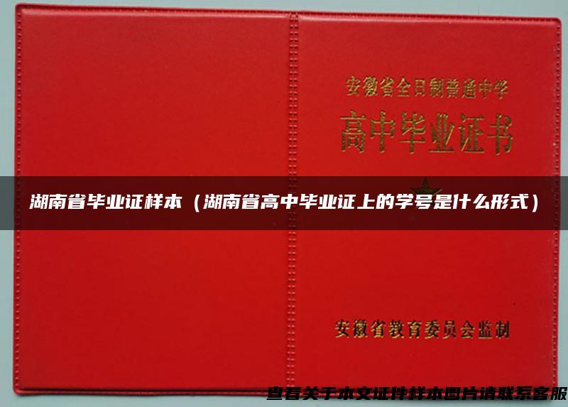 湖南省毕业证样本（湖南省高中毕业证上的学号是什么形式）