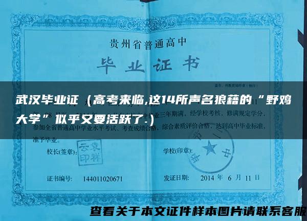 武汉毕业证（高考来临,这14所声名狼藉的“野鸡大学”似乎又要活跃了.）