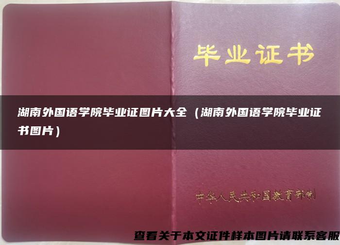 湖南外国语学院毕业证图片大全（湖南外国语学院毕业证书图片）