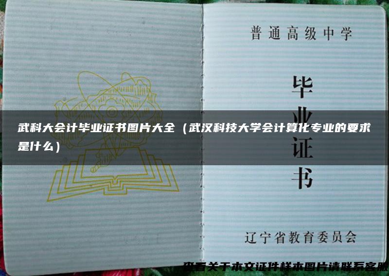 武科大会计毕业证书图片大全（武汉科技大学会计算化专业的要求是什么）