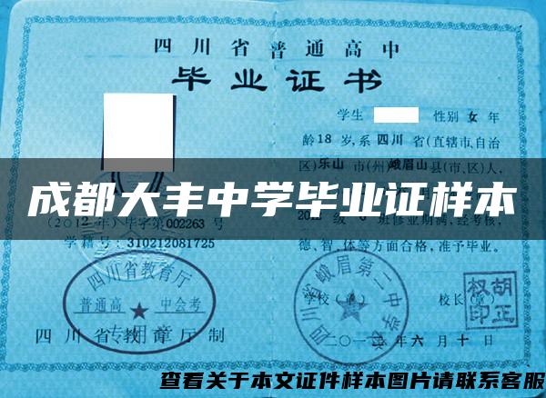 成都大丰中学毕业证样本