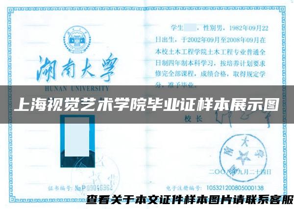 上海视觉艺术学院毕业证样本展示图
