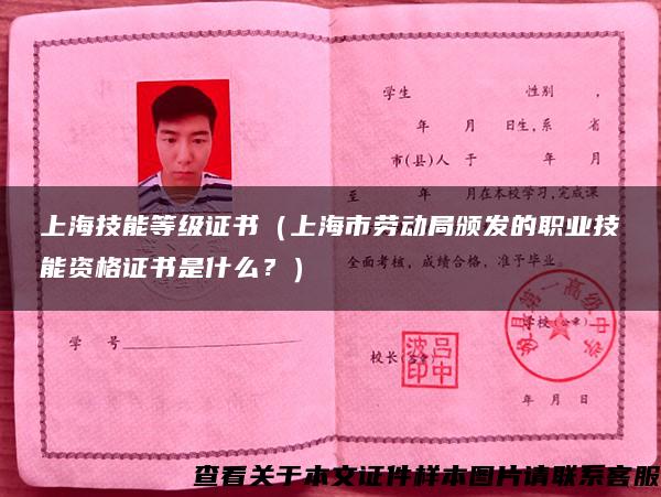 上海技能等级证书（上海市劳动局颁发的职业技能资格证书是什么？）