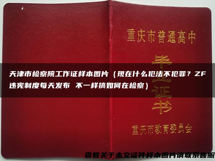 天津市检察院工作证样本图片（现在什么犯法不犯罪？ZF违宪制度每天发布 不一样搞如何在检察）
