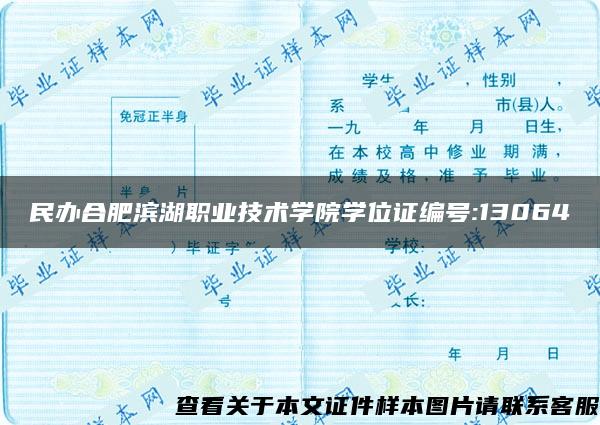 民办合肥滨湖职业技术学院学位证编号:13064