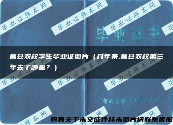 莒县农校学生毕业证图片（几年来,莒县农校第三年去了哪里？）