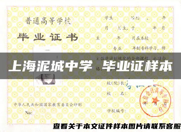 上海泥城中学 毕业证样本