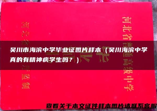 吴川市海滨中学毕业证图片样本（吴川海滨中学真的有精神病学生吗？）