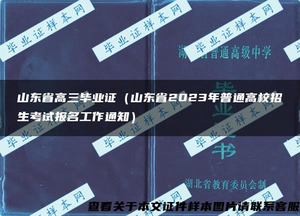 山东省高三毕业证（山东省2023年普通高校招生考试报名工作通知）
