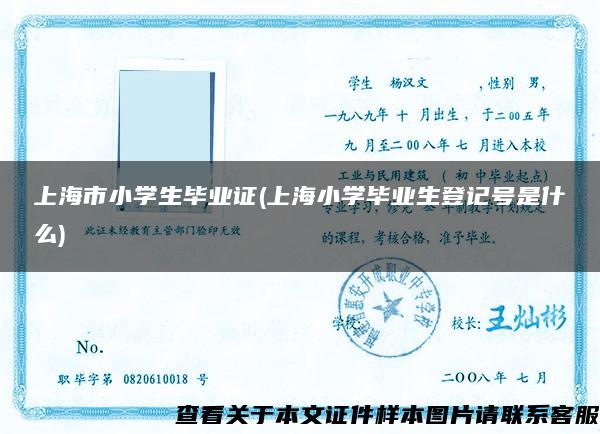 上海市小学生毕业证(上海小学毕业生登记号是什么)