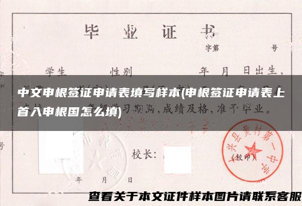 中文申根签证申请表填写样本(申根签证申请表上首入申根国怎么填)