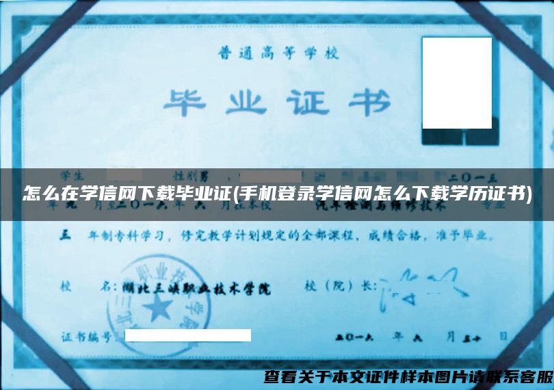 怎么在学信网下载毕业证(手机登录学信网怎么下载学历证书)