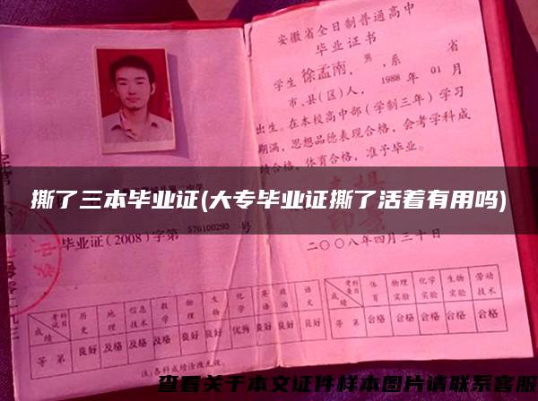 撕了三本毕业证(大专毕业证撕了活着有用吗)