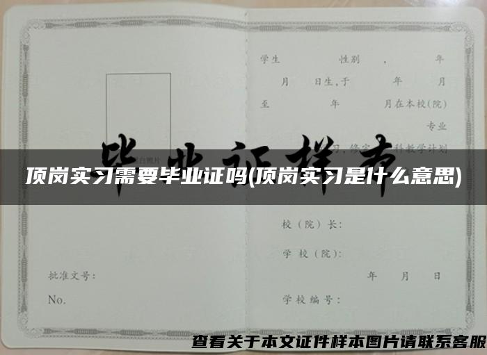 顶岗实习需要毕业证吗(顶岗实习是什么意思)