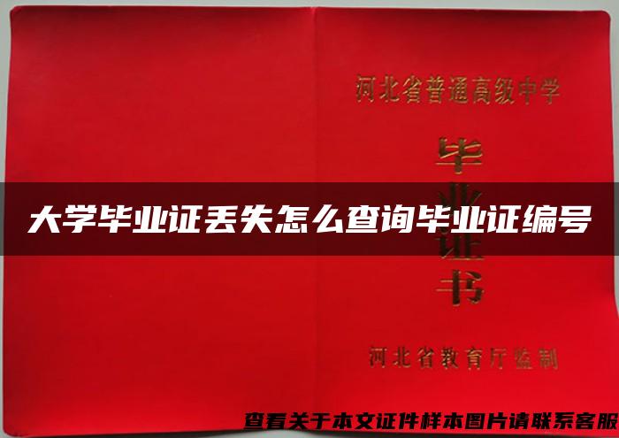 大学毕业证丢失怎么查询毕业证编号