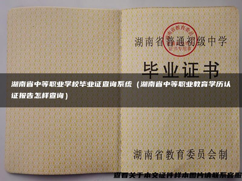 湖南省中等职业学校毕业证查询系统（湖南省中等职业教育学历认证报告怎样查询）