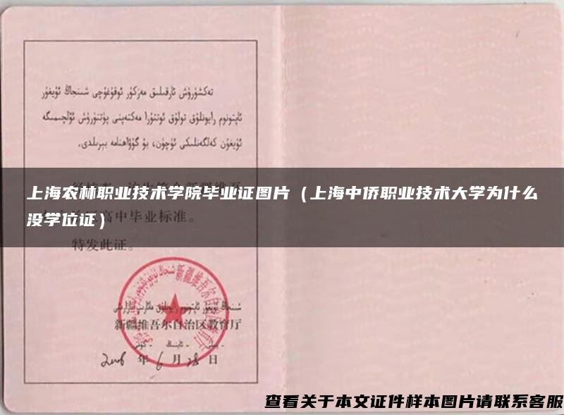上海农林职业技术学院毕业证图片（上海中侨职业技术大学为什么没学位证）