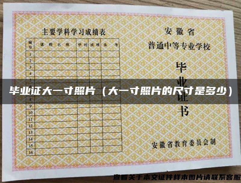 毕业证大一寸照片（大一寸照片的尺寸是多少）