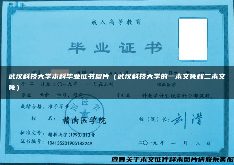 武汉科技大学本科毕业证书图片（武汉科技大学的一本文凭和二本文凭）