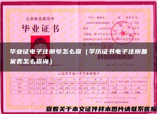 毕业证电子注册号怎么查（学历证书电子注册备案表怎么查询）