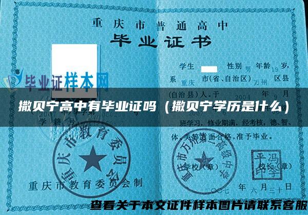 撒贝宁高中有毕业证吗（撒贝宁学历是什么）