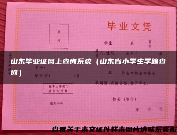 山东毕业证网上查询系统（山东省小学生学籍查询）