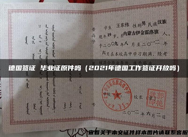 德国签证 毕业证原件吗（2021年德国工作签证开放吗）