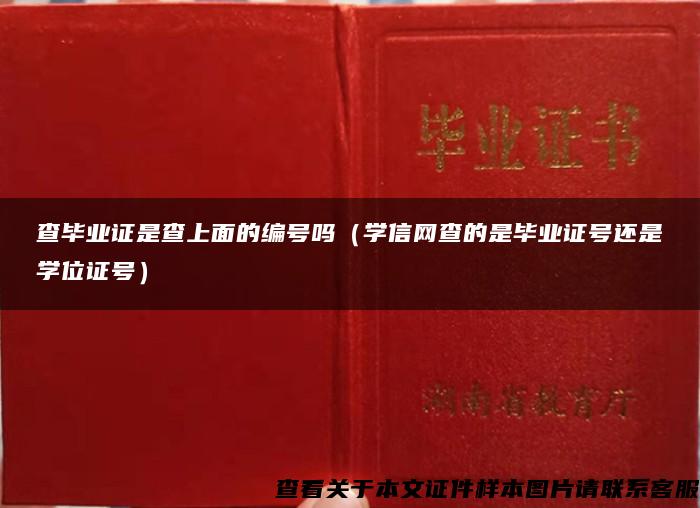 查毕业证是查上面的编号吗(学信网查的是毕业证号还是学位证号) 查毕业证是查上面的编号吗(学信网查的是毕业证号还是学位证号)