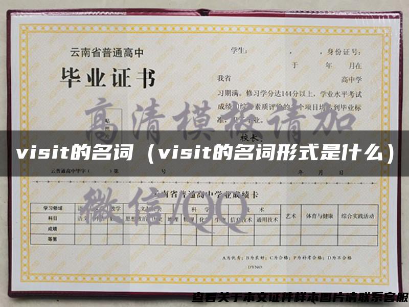 visit的名词（visit的名词形式是什么）