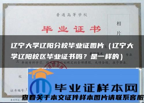 辽宁大学辽阳分校毕业证图片（辽宁大学辽阳校区毕业证书吗？是一样的）