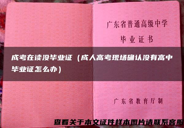 成考在读没毕业证（成人高考现场确认没有高中毕业证怎么办）