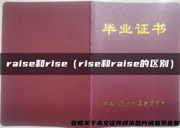 raise和rise（rise和raise的区别）