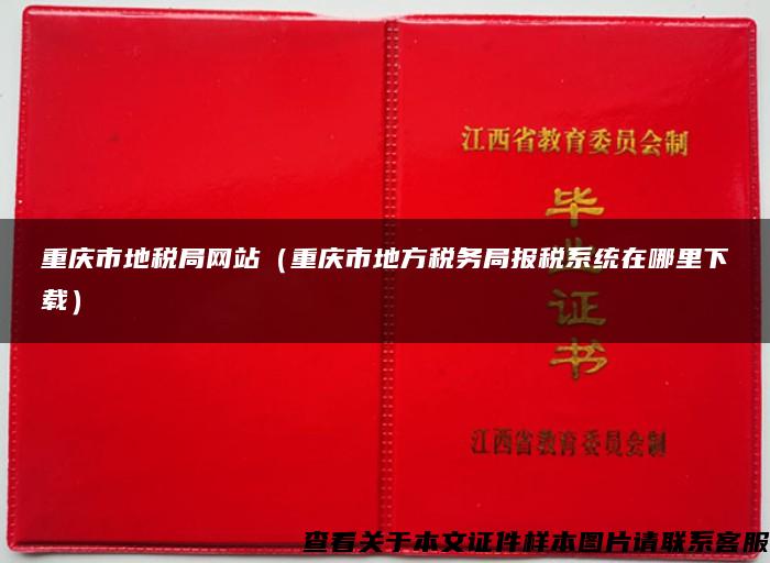 重庆市地税局网站（重庆市地方税务局报税系统在哪里下载）