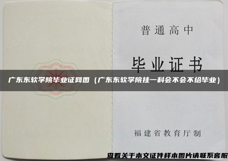 广东东软学院毕业证网图（广东东软学院挂一科会不会不给毕业）