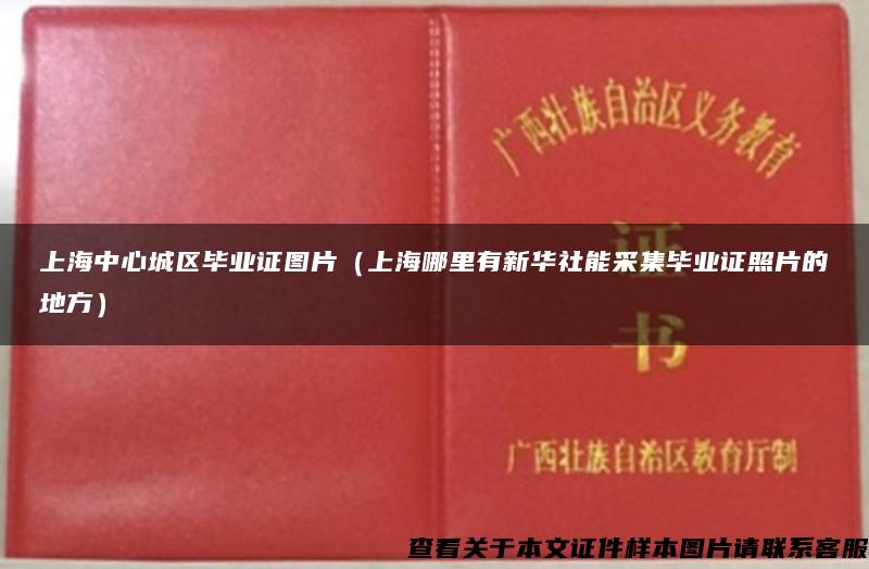 上海中心城区毕业证图片（上海哪里有新华社能采集毕业证照片的地方）