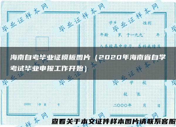 海南自考毕业证模板图片（2020年海南省自学考试毕业申报工作开始）