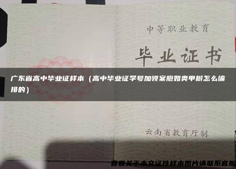 广东省高中毕业证样本（高中毕业证学号加领案胞如类甲树怎么编排的）