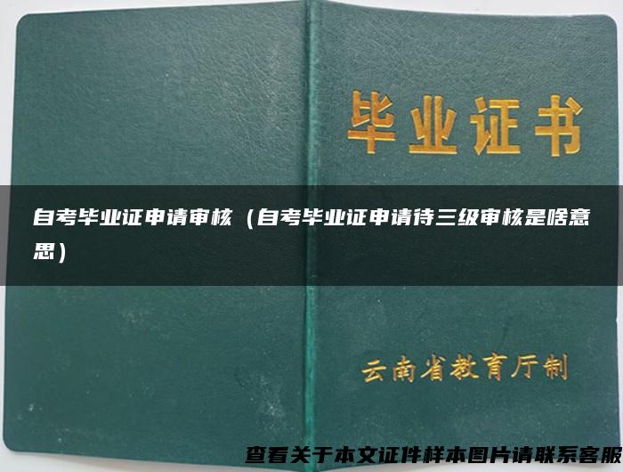 自考毕业证申请审核（自考毕业证申请待三级审核是啥意思）