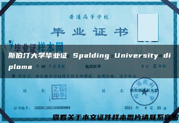 斯伯汀大学毕业证 Spalding University diploma