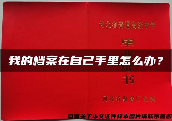 我的档案在自己手里怎么办？