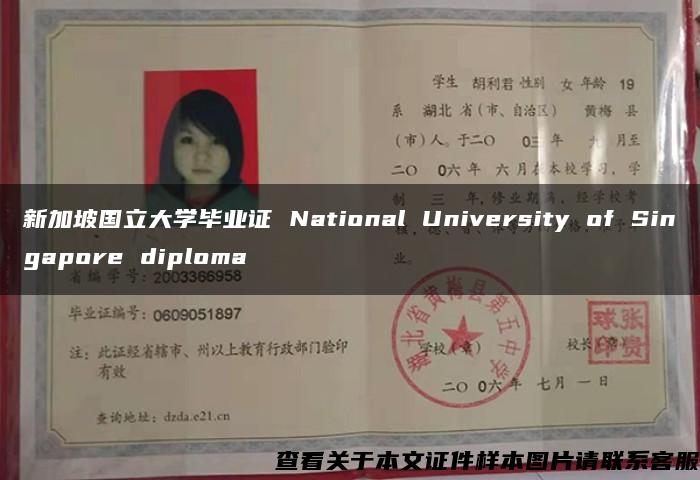 新加坡国立大学毕业证 National University of Singapore diploma