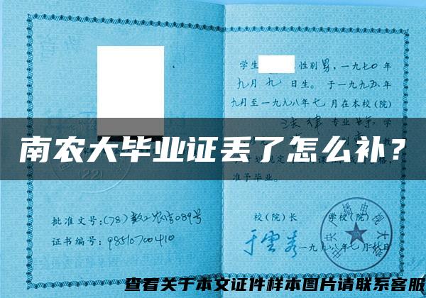 南农大毕业证丢了怎么补？