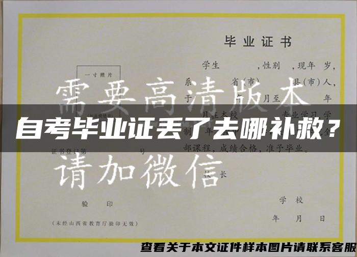 自考毕业证丢了去哪补救？